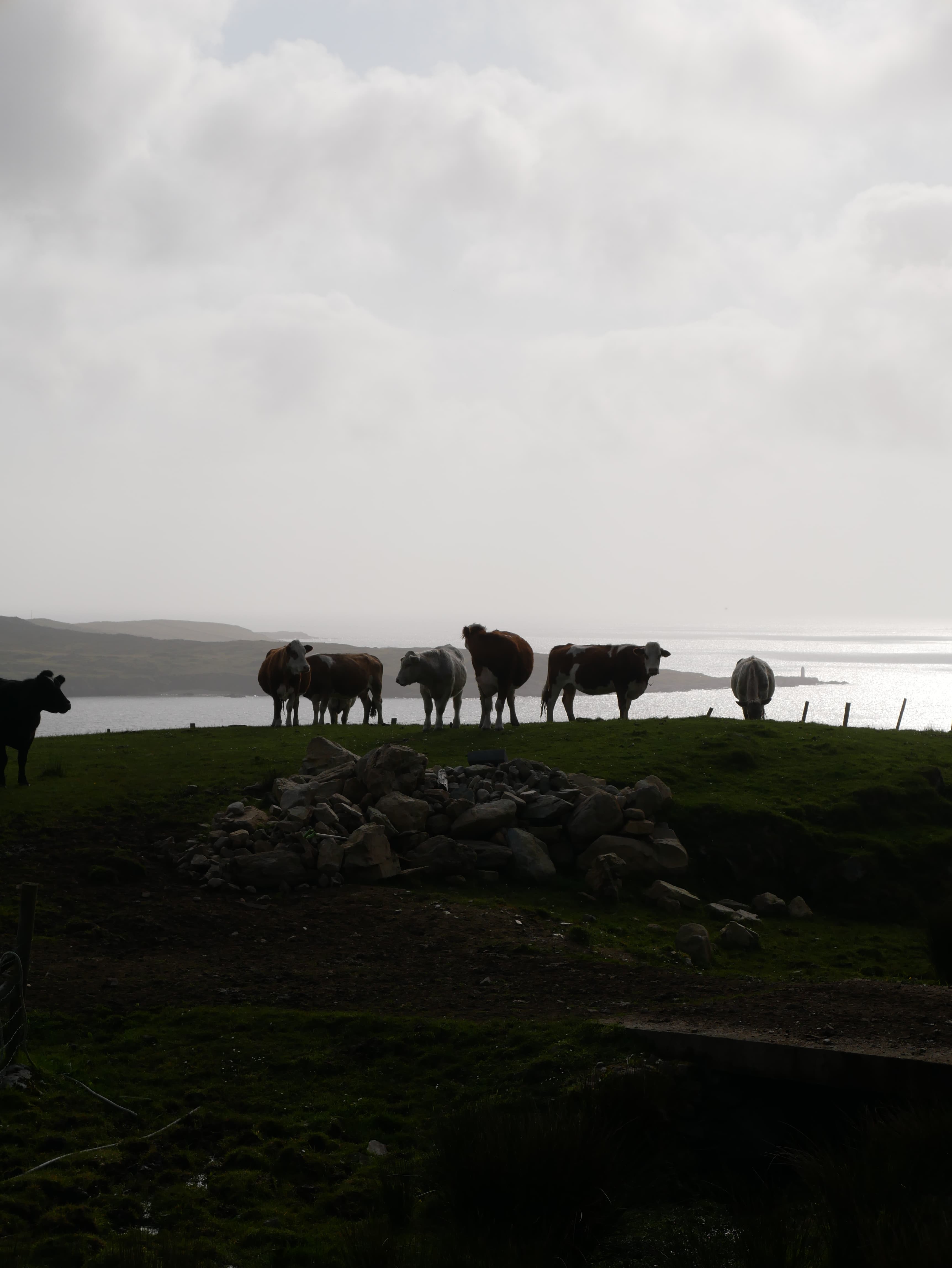 Green lakeshore beneath low clouds and distant mountains